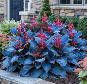 Хоста Грин Фог купить по цене от 669р. в интернет-магазине «Посадика» с доставкой почтой в в Оленегорске и по всей России – [изображение №1].