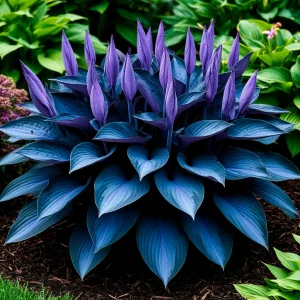 Хоста Сикрет Гров купить по цене от 570р. в интернет-магазине «Посадика» с доставкой почтой в в Оленегорске и по всей России – [изображение №1].