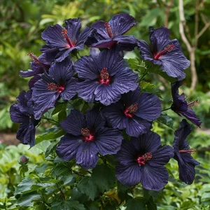 Гибискус Мэджик Момент купить по цене от 699р. в интернет-магазине «Посадика» с доставкой почтой в в Оленегорске и по всей России – [изображение №1].